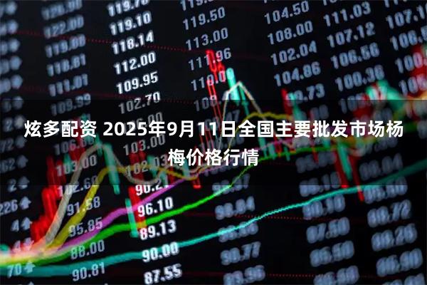 炫多配资 2025年9月11日全国主要批发市场杨梅价格行情