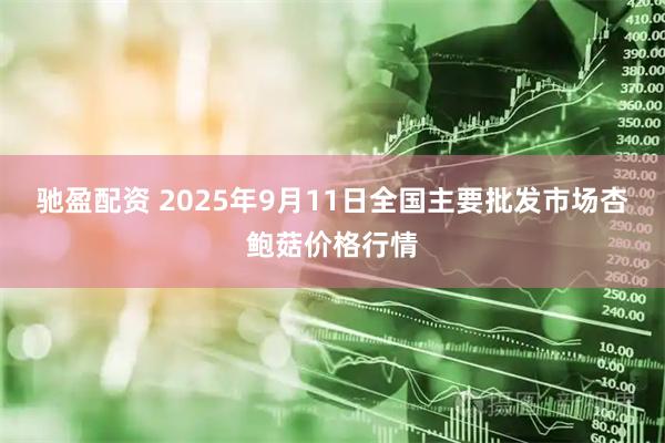 驰盈配资 2025年9月11日全国主要批发市场杏鲍菇价格行情