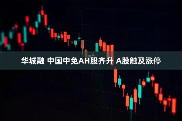 华城融 中国中免AH股齐升 A股触及涨停
